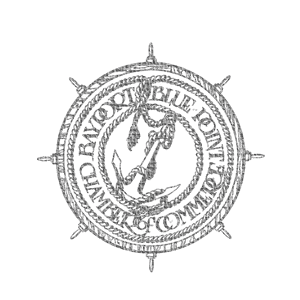 member of pet sitters international
