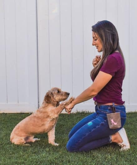 Our dog trainer, Pamela, is a Certified Dog Trainer training a dog to shake paw